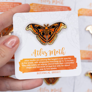 Atlas Moth Enamel Pin