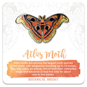 Atlas Moth Enamel Pin