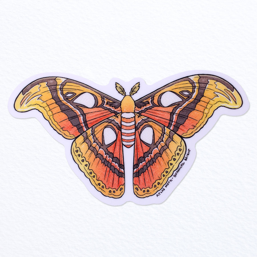 Atlas Moth Waterproof Vinyl Sticker