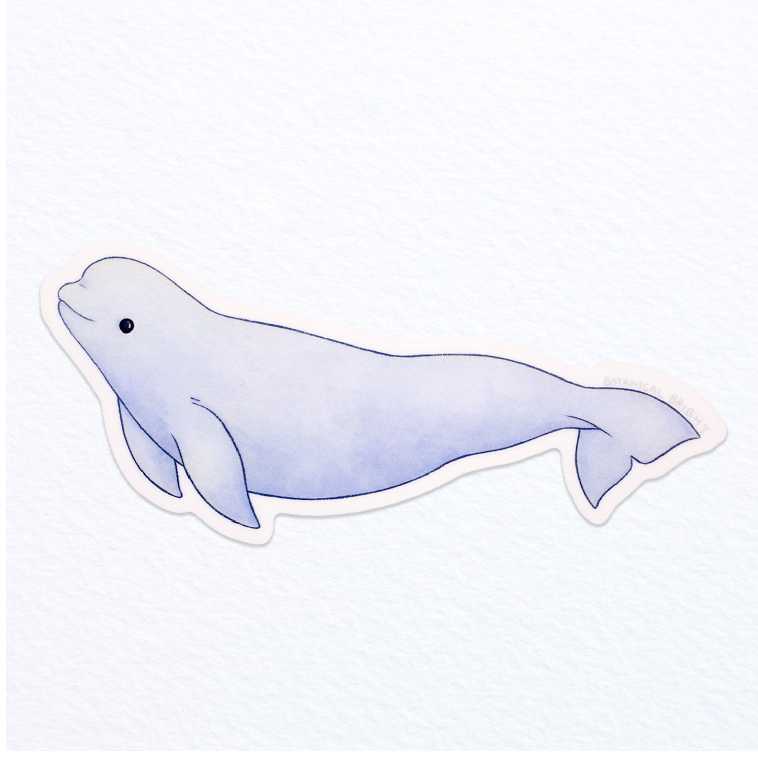 Beluga Whale Waterproof Vinyl Sticker – Botanical Bright