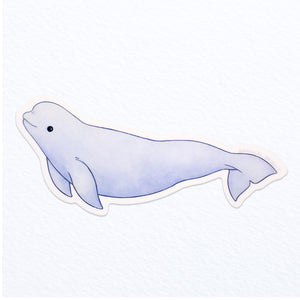 Beluga Whale Waterproof Vinyl Sticker