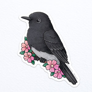 Black Phoebe Waterproof Vinyl Sticker