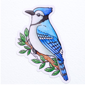 Blue Jay Waterproof Vinyl Sticker