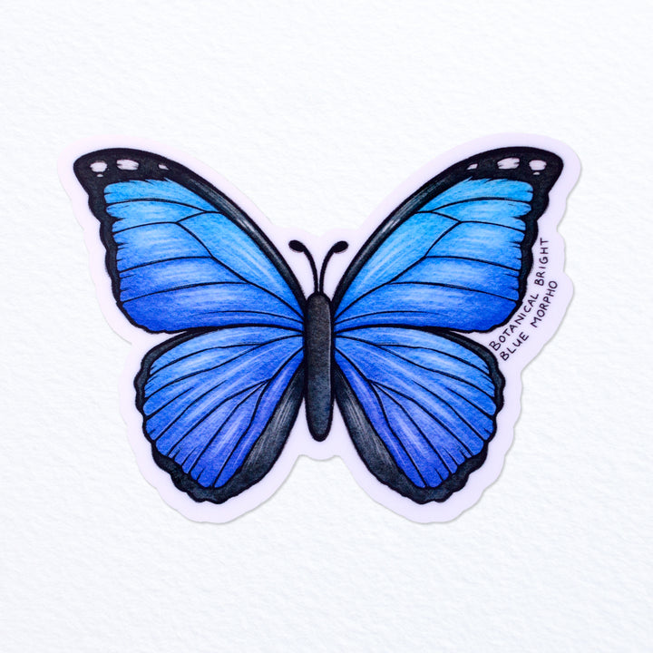 https://botanicalbright.com/cdn/shop/files/Botanical-Bright-Blue-Morpho-Butterfly-Vinyl-Sticker-1_c0c1b8ac-5331-46af-b417-258f88d71702_720x.jpg?v=1683843842