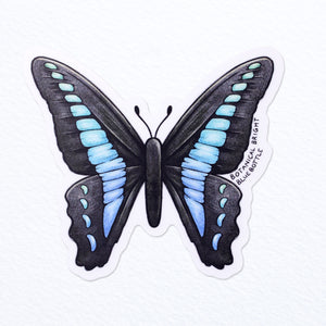 Bluebottle Butterfly Waterproof Vinyl Sticker