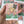 California Poppy Magnet