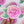 Load image into Gallery viewer, Camellia Flower Waterproof Vinyl Sticker
