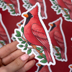 Cardinal Waterproof Vinyl Sticker – Botanical Bright - Add a Little Beauty  to Your Everyday