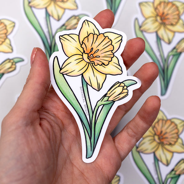 Daffodil Vinyl Sticker