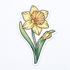 Daffodil Vinyl Sticker
