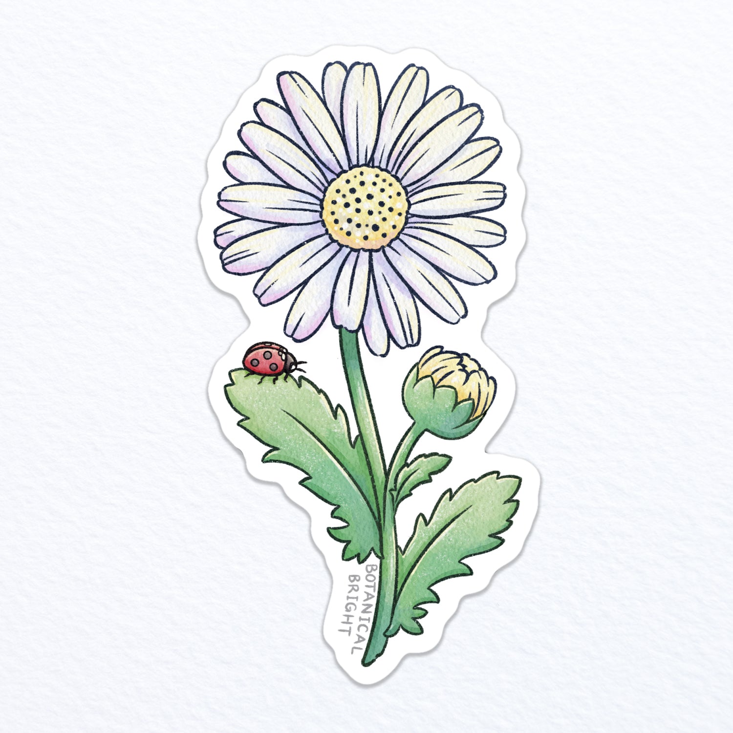 Daisy Vinyl Sticker – Botanical Bright