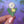 Dandelion Enamel Pin