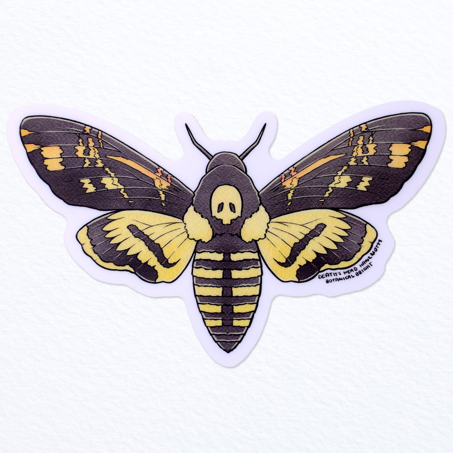 https://botanicalbright.com/cdn/shop/files/Botanical-Bright-Deaths-Head-Hawk-Moth-Sticker-P_900x.jpg?v=1683844437