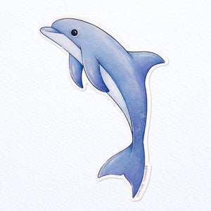Dolphin Waterproof Vinyl Sticker
