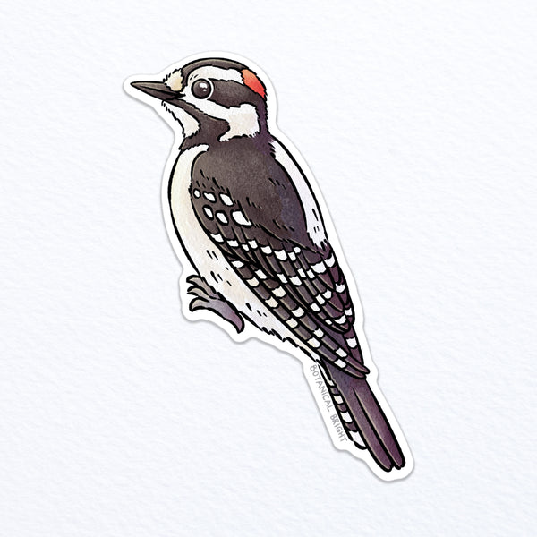 Woodpecker Waterproof Vinyl Sticker