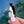 Load image into Gallery viewer, Penguin with Chick Enamel Pin

