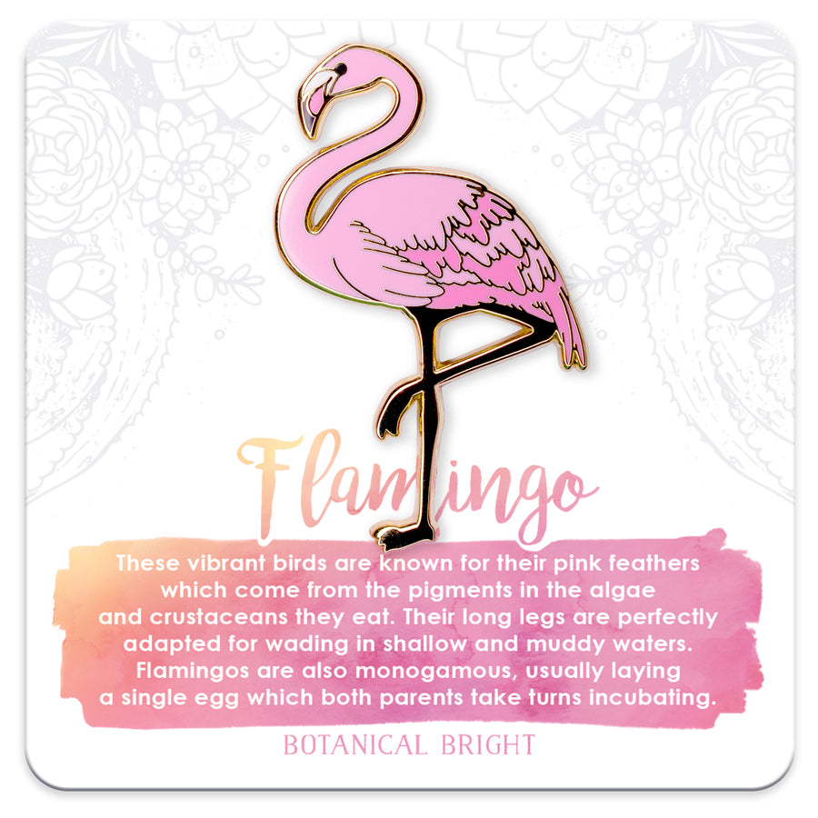 Flamingo, Toucan & Scarlet Macaw Enamel Pin Set