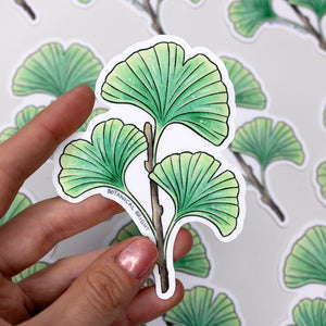 Ginkgo Leaf Waterproof Vinyl Sticker