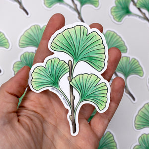 Ginkgo Leaf Waterproof Vinyl Sticker