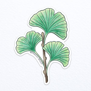 Ginkgo Leaf Waterproof Vinyl Sticker
