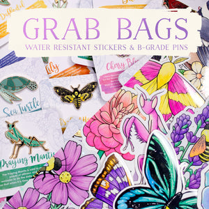 Mystery Grab Bags! 10 Water Resistant Stickers + 3 B-Grade Enamel Pins + 1 Keychain