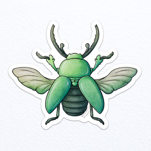 Beetle Waterproof Vinyl Sticker