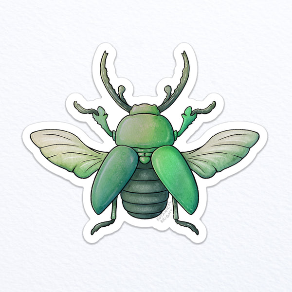 Beetle Holographic Waterproof Vinyl Sticker