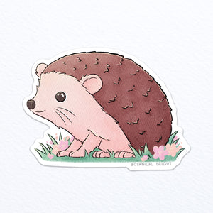Hedgehog Waterproof Vinyl Sticker