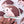 Hedgehog Waterproof Vinyl Sticker