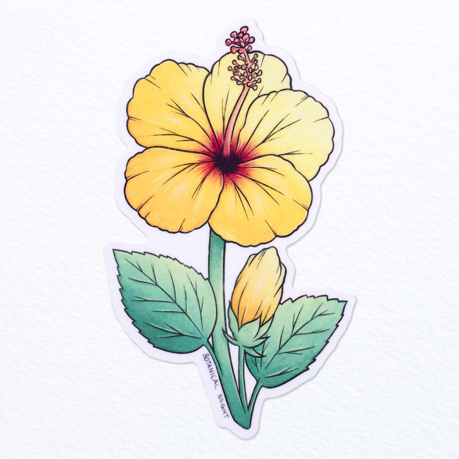Hibiscus Waterproof Vinyl Sticker – Botanical Bright - Add a Little Beauty  to Your Everyday