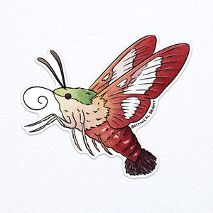 Hummingbird Moth Waterproof Vinyl Sticker