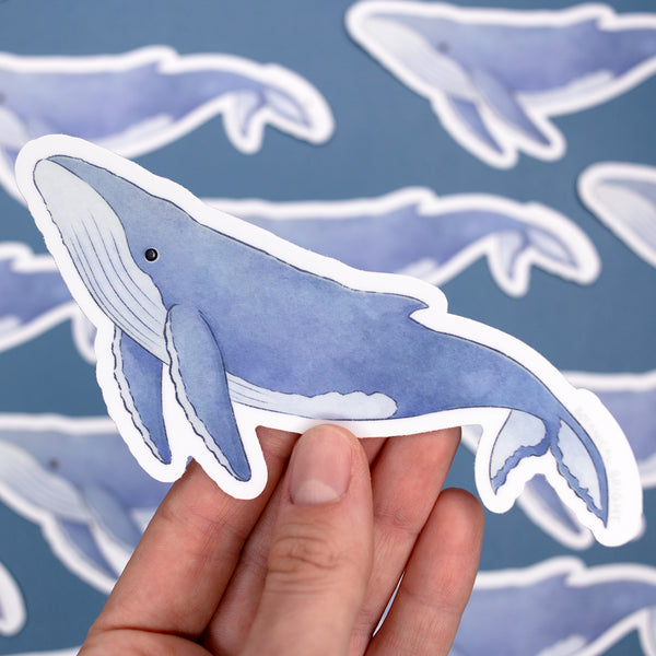 Humpback Whale Waterproof Vinyl Sticker
