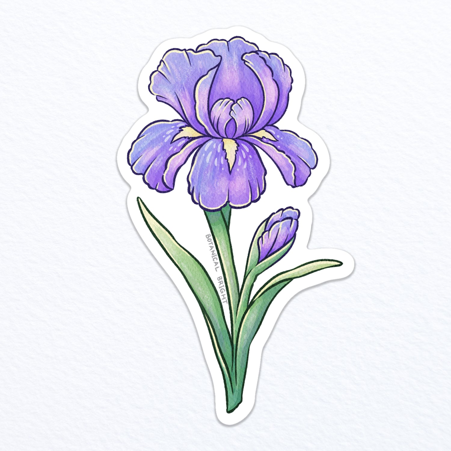 Iris Waterproof Vinyl Sticker – Botanical Bright