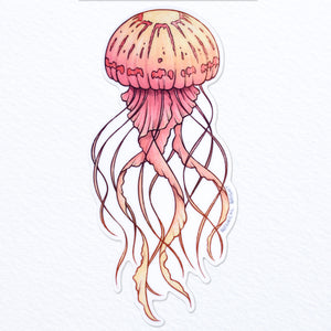 Jellyfish Waterproof Vinyl Sticker