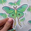 Moth Sticker Decal Witchy Stickers Luna Moth Sticker -  Canada in 2023