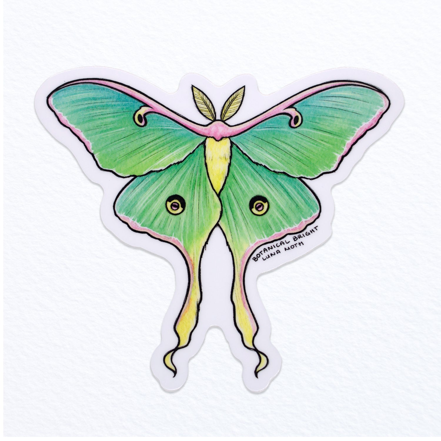 Luna Moth | Vinyl Sticker Luna Moth | Vinyl Sticker