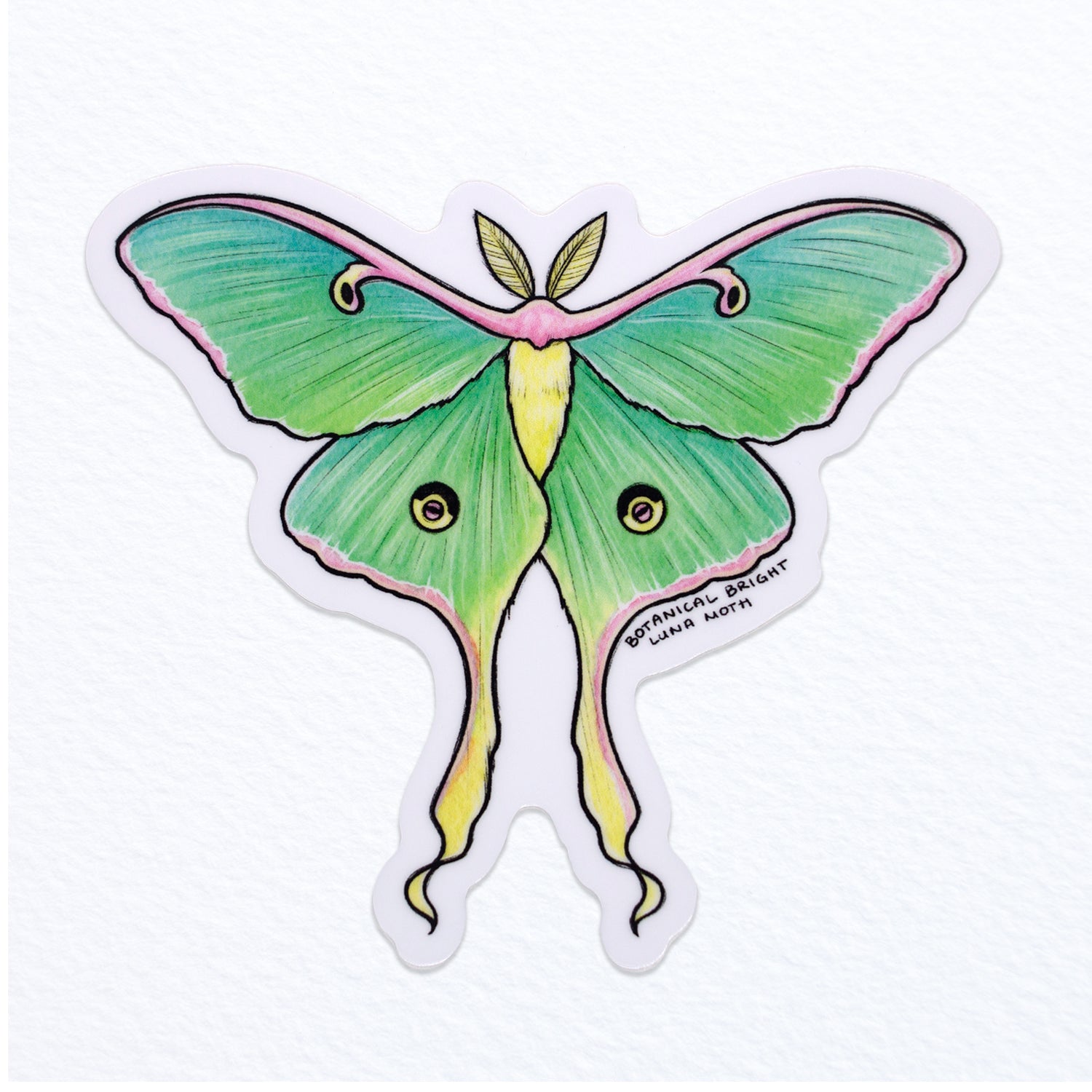 Moth Sticker Decal Witchy Stickers Luna Moth Sticker -  Canada in 2023