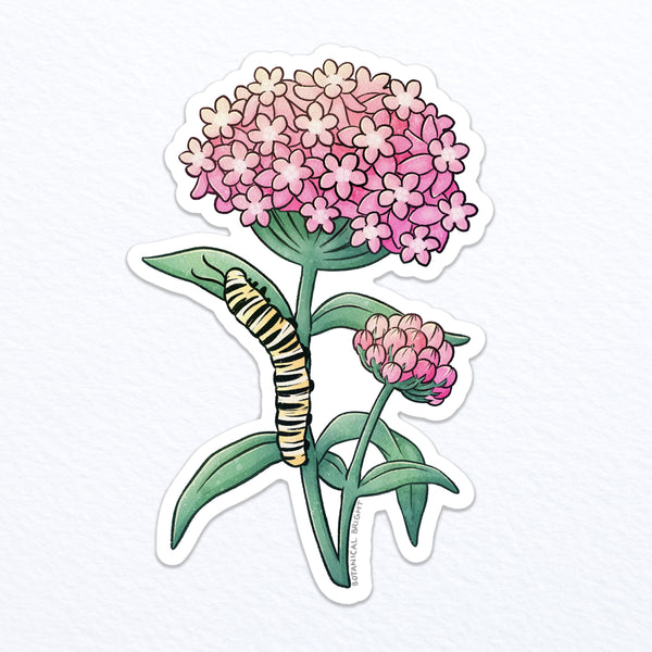 Milkweed and Monarch Caterpillar Waterproof Vinyl Sticker