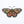 Monarch Butterfly Waterproof Vinyl Sticker