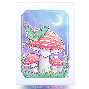 Luna Moth & Mushrooms Art Print