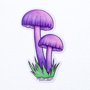Amethyst Deceiver Mushroom Waterproof Vinyl Sticker