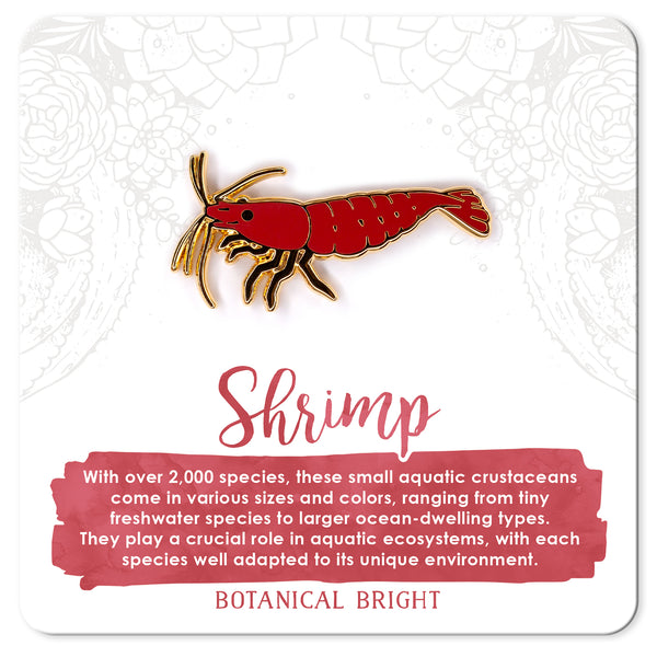 Shrimp Enamel Pin