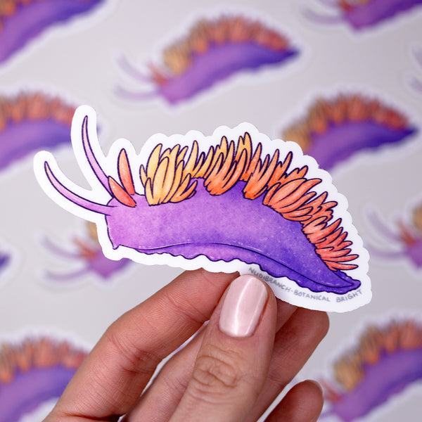 Nudibranch Sea Slug Waterproof Vinyl Sticker