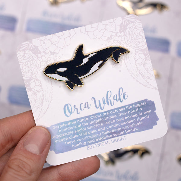 Beluga, Orca and Humpback Whale Enamel Pin Set