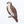 Osprey Waterproof Vinyl Sticker