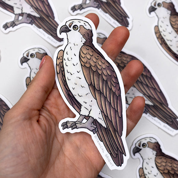 Osprey Waterproof Vinyl Sticker