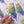 Load image into Gallery viewer, Green Parakeet Waterproof Vinyl Sticker
