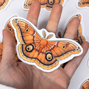 Polyphemus Moth Waterproof Vinyl Sticker