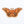 Polyphemus Moth Waterproof Vinyl Sticker