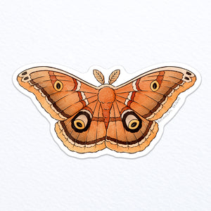 Polyphemus Moth Waterproof Vinyl Sticker